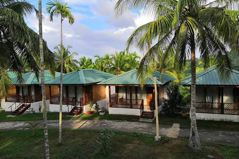 Rainforest Resort.webp